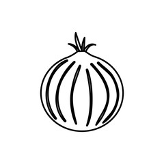 onion vegetable icon over white background vector illustration