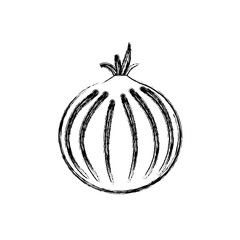 onion vegetable icon over white background vector illustration