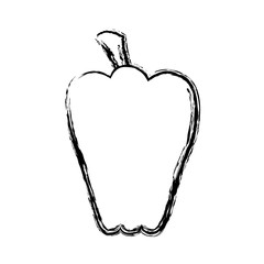 pepper vegetable icon over white background vector illustration