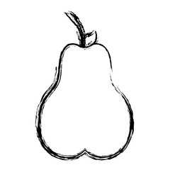 pear fruit icon over white background vector illustration