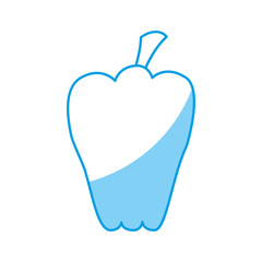 pepper vegetable icon over white background vector illustration