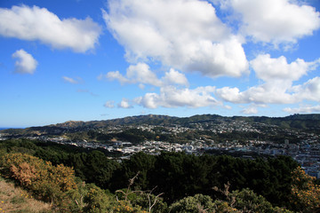 Naklejka premium Mt Victoria, Wellington, New Zealand