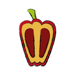 pepper vegetable icon over white background vector illustration