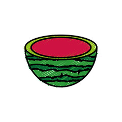 watermelon fruit icon over white background vector illustration