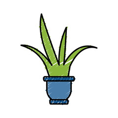 plant in a pot icon over white background vector illustration