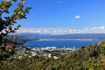 Wrights Hill, Wellington, New Zealand