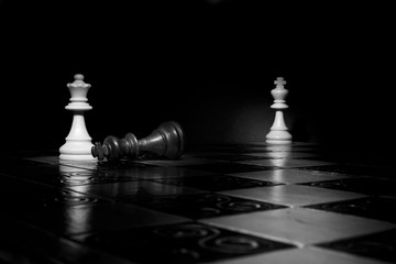 Scacchi fotografati su una scacchiera