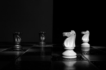 Scacchi fotografati su una scacchiera