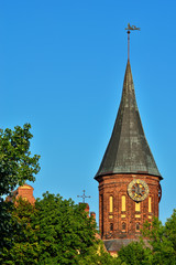 Obraz premium Tower Koenigsberg Cathedral. Symbol of Kaliningrad, Russia