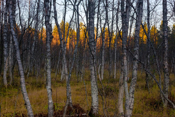 Fototapeta premium Northern Norway