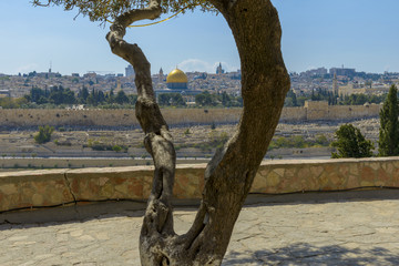 Panoramic view to Jerusalem Old city