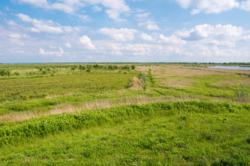Fototapeta na wymiar Landscape of polder and wetland on Tiengemeten island, Netherlands