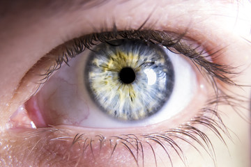 Close-up of blue human eye