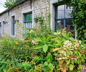 Rustic old stone building with close up of plants growing outside.