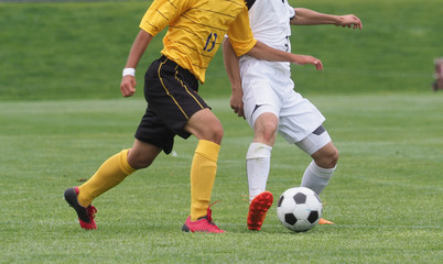 サッカー　フットボール