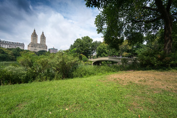Fototapeta na wymiar Buildings in distance and grass in foreground, Central Park, New York City, New York, USA.