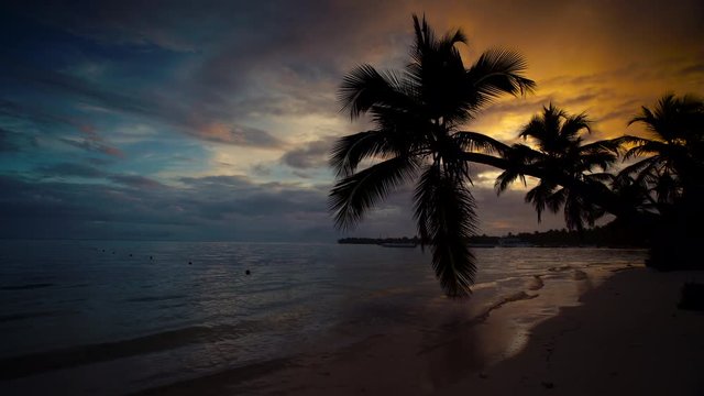 Landscape of silhouette of palm tree sandy beach sunrise. Punta Cana beach.
