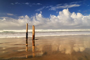 Posts On The Shore