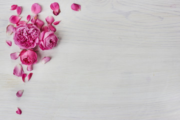 Roses frame on white wooden background