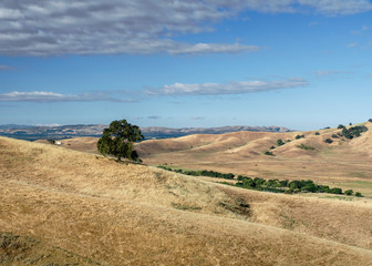 Panoramic view of the Lagoon Valley Park in Vacaville, California, USA, featuring the chaparral in the summer with golden grass, viewed on the way to the cell phone tower