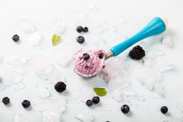 Ice cream of Berries,Blueberries,blackberries with mint.selective focus.