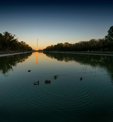 Naklejka na ściany i meble Washington Monument and the Reflecting Pool at dusk, Washington DC, USA.