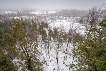 High angle view, outdoors of woods in winter, Ontario, Canada.