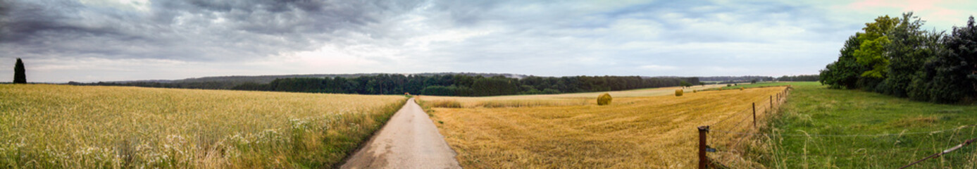 Panoramic view of rural scene of countryside at day, Ontario, Canada.