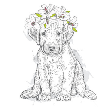 A beautiful scarlet in a wreath of lilies. Lovely puppy in a flower wreath. Pedigree dog. Vector illustration for a postcard or a poster, print for clothes.