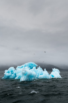 Holkham Bay Iceberg