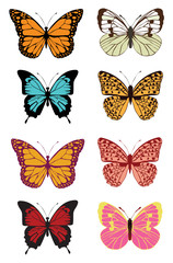 Fototapeta na wymiar Vector butterfly set