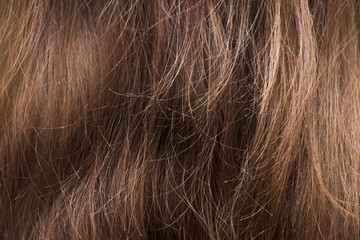 Brown hair texture closeup.