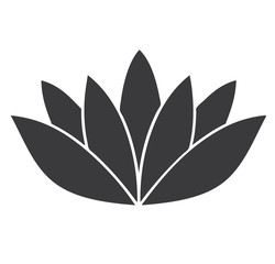 vector lotus flower