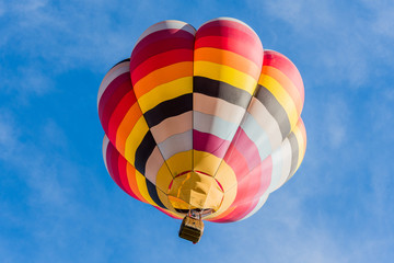 Fototapeta premium Fly