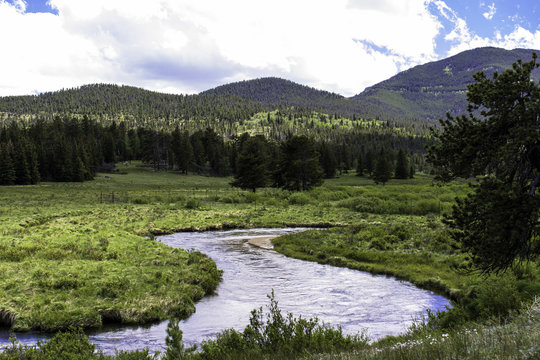 Stream flows through a wet meadow in Rocky Mountain National Park