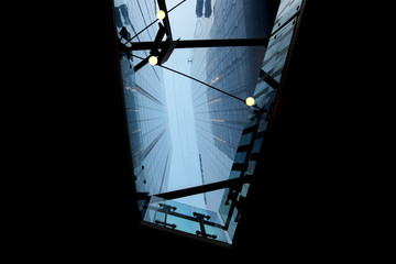 Looking Up 5 © Catriona