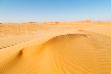 Fototapeta na wymiar in oman desert outdoor sand dune
