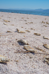 Salton Sea, Southern California 