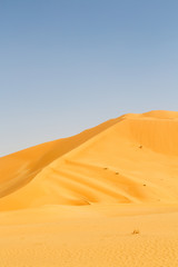 Fototapeta na wymiar in oman quarter and outdoor sand dune