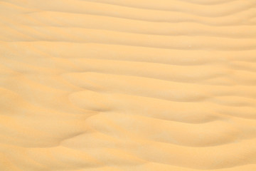 in oman the old desert and the empty quarter abstract  texture line wave