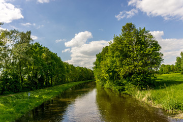Fototapeta na wymiar Small river with trees with blue sky