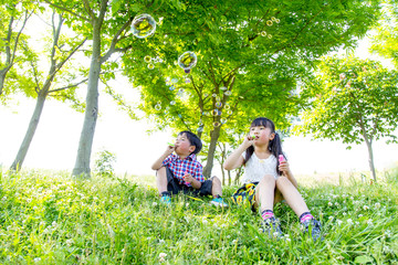 新緑の樹木の前でシャボン玉で遊ぶ姉弟の子供