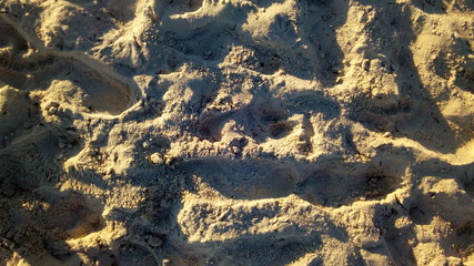 TEXTURE COLLECTION IL 0749