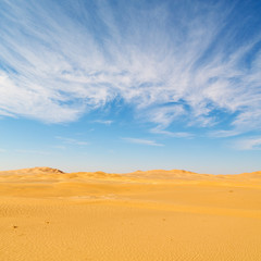Fototapeta na wymiar in oman old desert rub al khali the empty quarter and outdoor sand dune