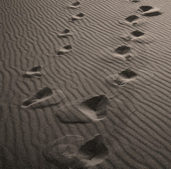 in oman the old desert and the empty quarter abstract  texture line wave