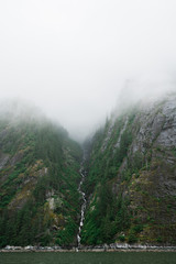 Foggy Ravine