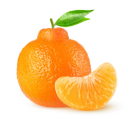 Isolated citrus fruit. Clementine or minneola tangelo whole citrus fruit and one peeled segment on white background with clipping path