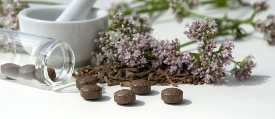 Baldrian, Heilpflanze, zur Ruhe kommen,