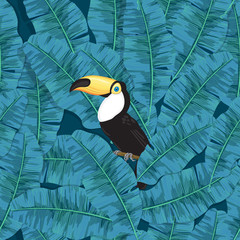 Tropical seamless pattern with toucan and banana leaves. Element for design.