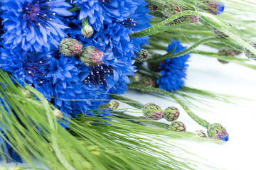 Bouquet of cornflower and green ears. Blue summer meadow flowers and green barley ears. Cornflowers are beautiful summer events, festivals, greeting decors. Rustic wildflowers bouquet picked in summer
